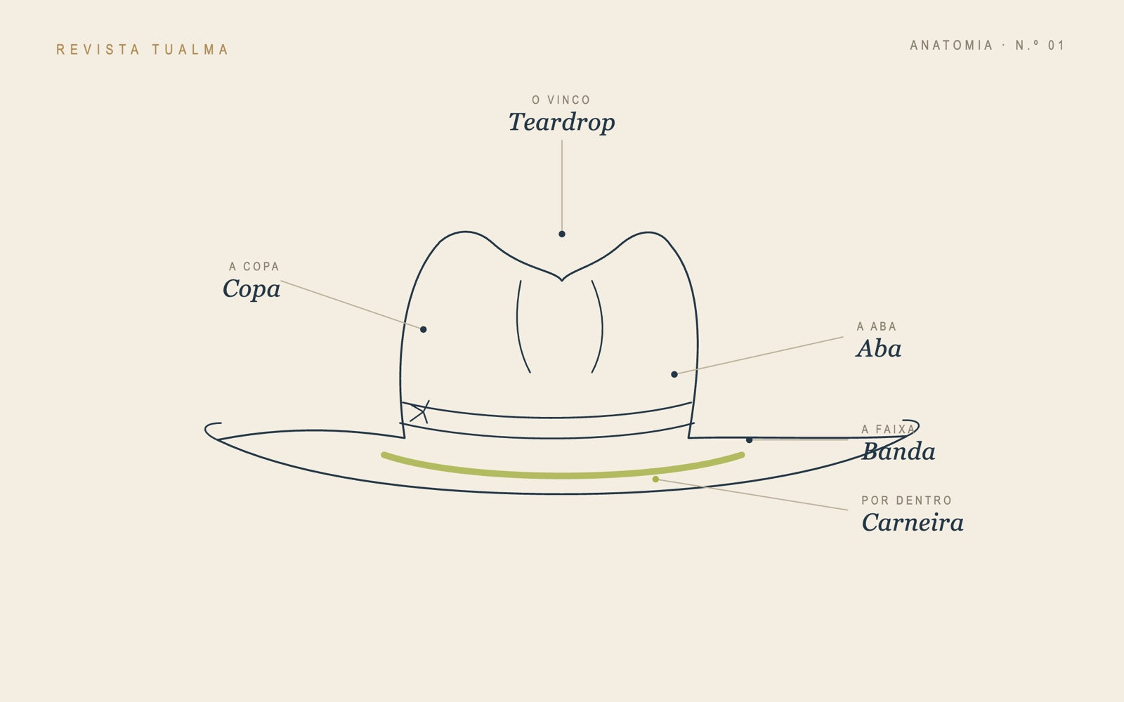 Ilustração croqui da anatomia de um chapéu fedora — copa, aba, banda, carneira e vinco teardrop