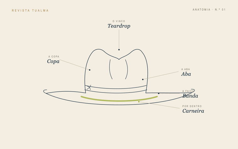Ilustração croqui da anatomia de um chapéu fedora — copa, aba, banda, carneira e vinco teardrop
