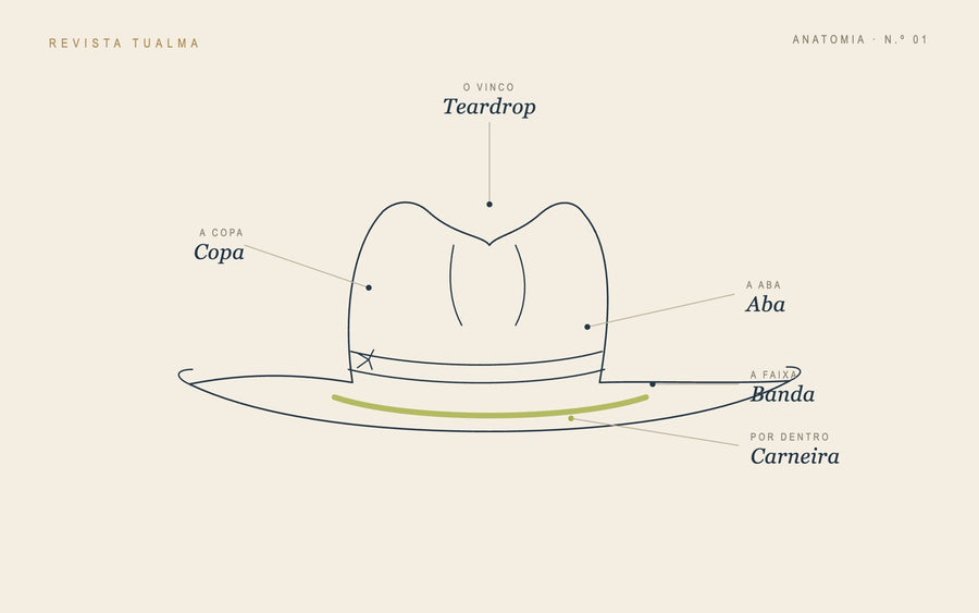 Ilustração croqui da anatomia de um chapéu fedora — copa, aba, banda, carneira e vinco teardrop