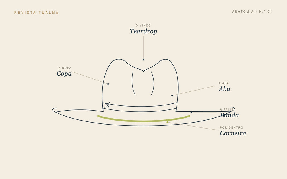 Ilustração croqui da anatomia de um chapéu fedora — copa, aba, banda, carneira e vinco teardrop