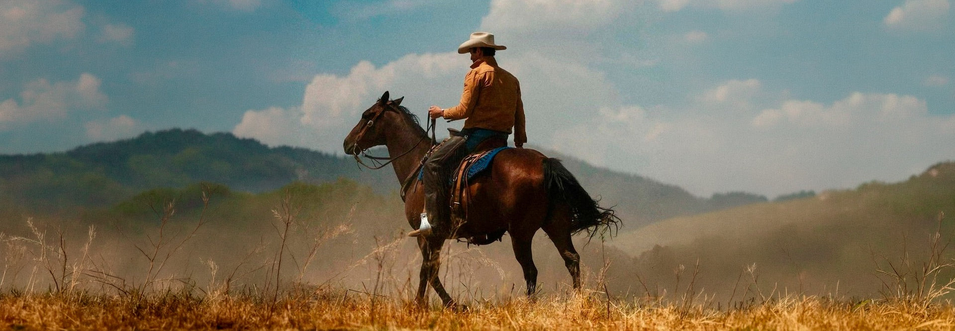 Alma Country — Tualma